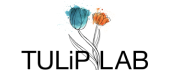 Tulip Lab